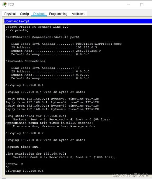 计算机网络课程设计实践指南 从基础命令到网络编程
